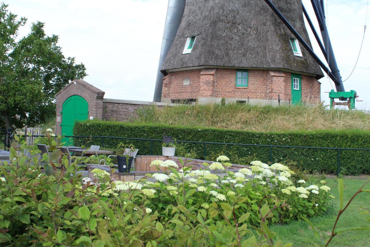 Bij Molen De Blazekop, Rustig En Landelijk Villa Ovezande Dış mekan fotoğraf