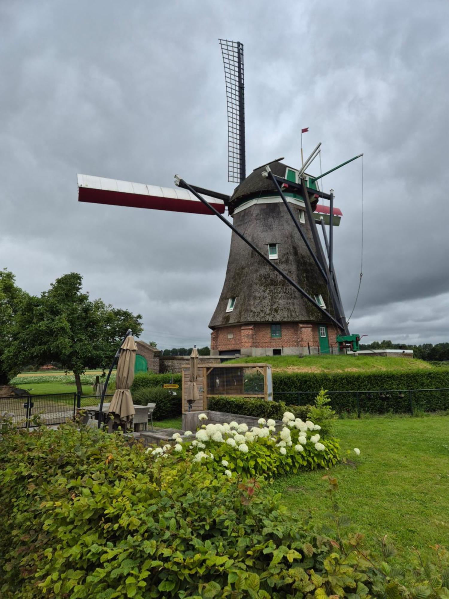 Bij Molen De Blazekop, Rustig En Landelijk Villa Ovezande Dış mekan fotoğraf